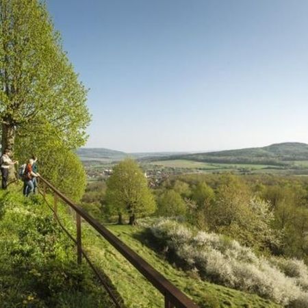 Aussicht auf eine Wiese