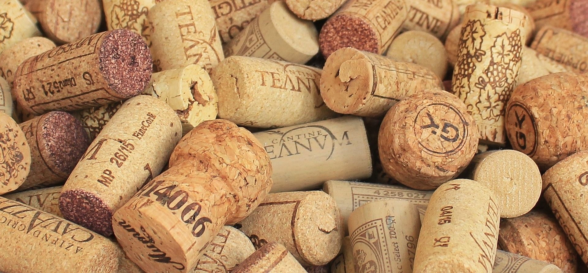Unsere Weinkarte